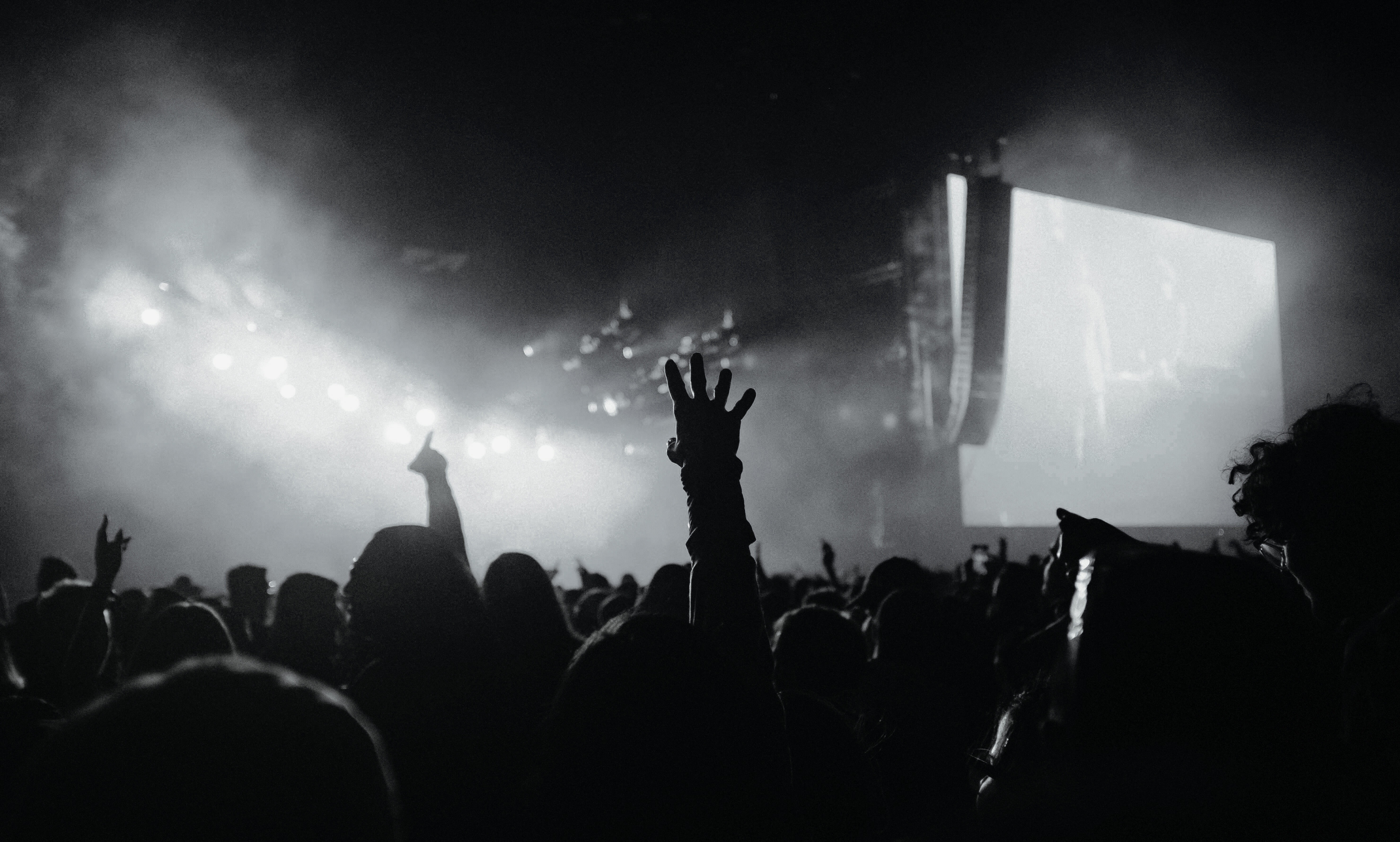 Live music performance